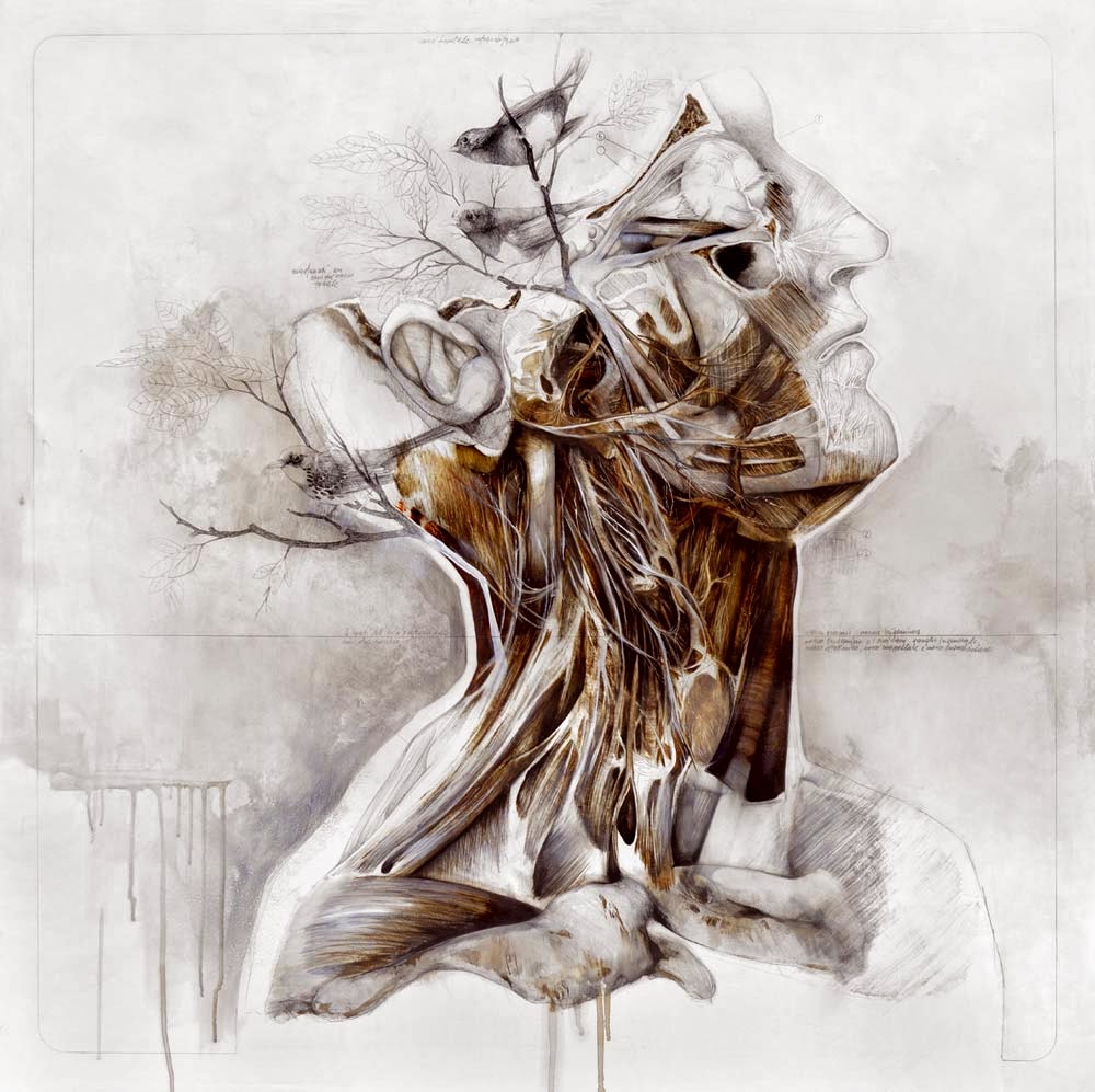 nunzio-paci-human-illustration 1