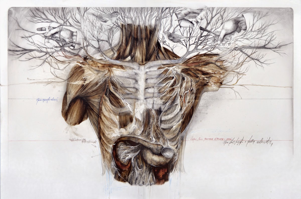 nunzio-paci-human-illustration 3