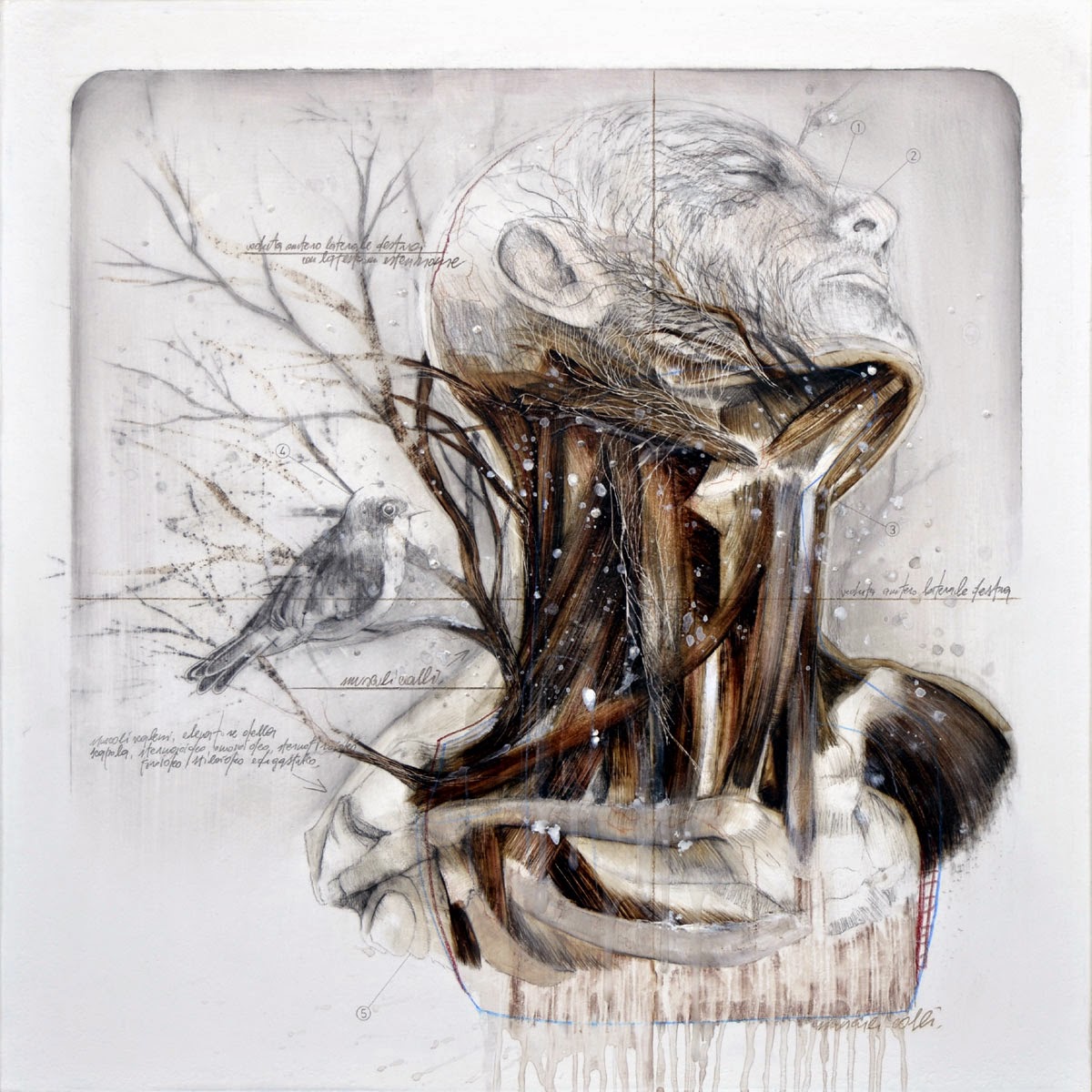 nunzio-paci-human-illustration 4