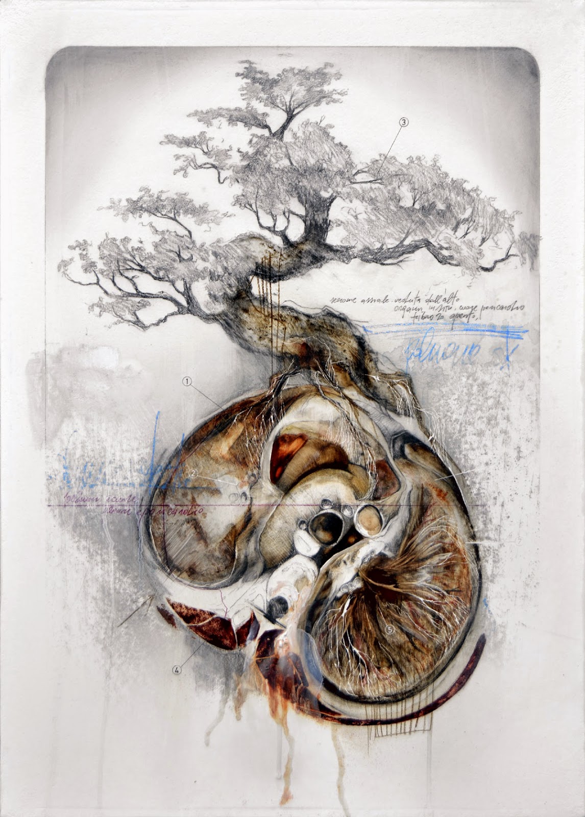 nunzio-paci-human-illustration 5