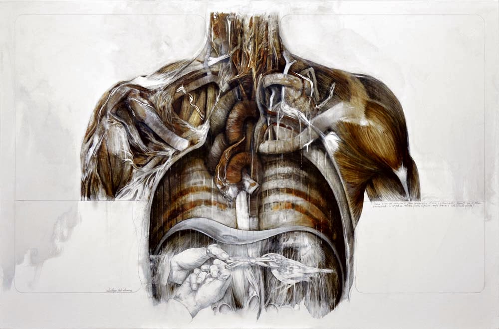 nunzio-paci-human-illustration 6