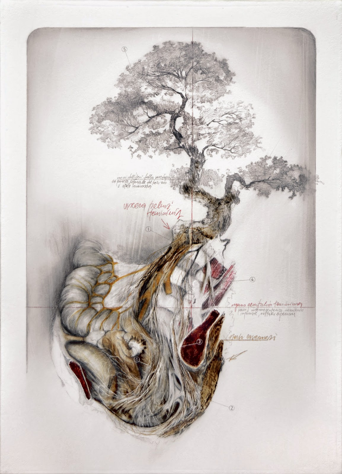 nunzio-paci-human-illustration 8
