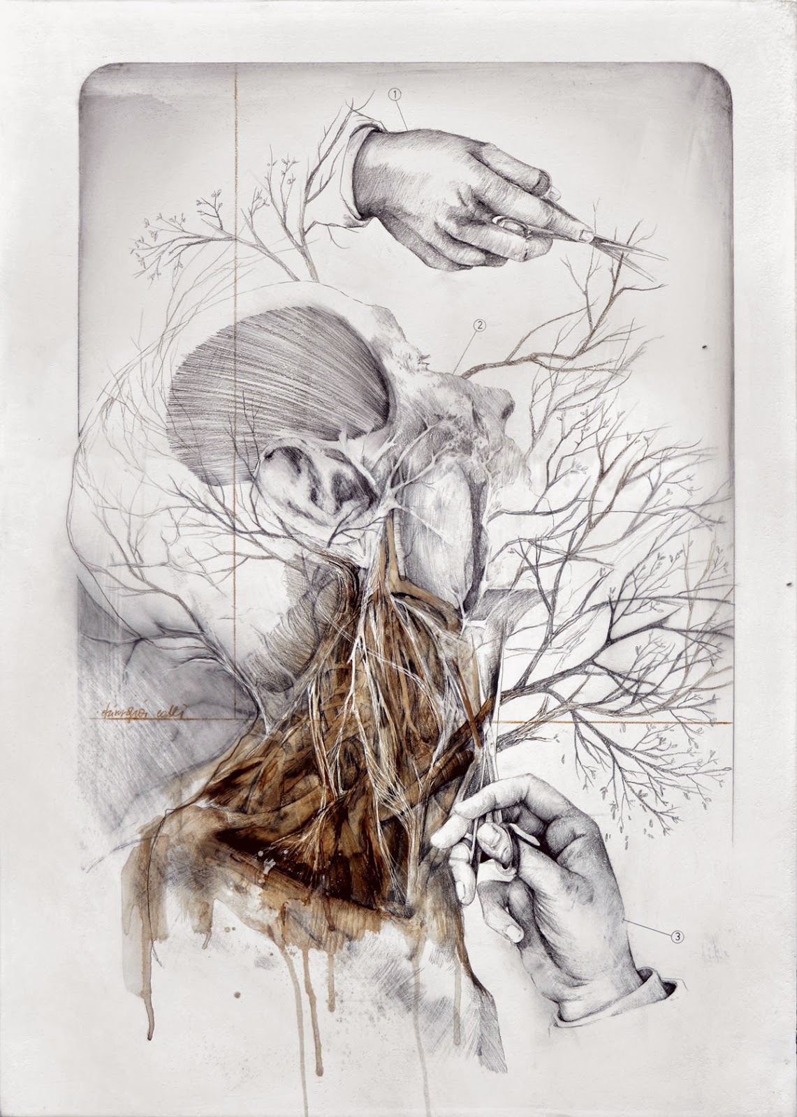 nunzio-paci-human-illustration 9