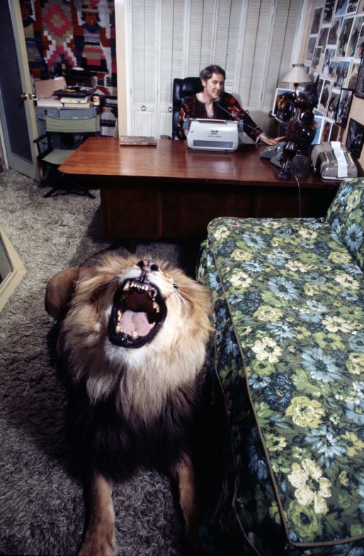 tippi hendre lion photography 10