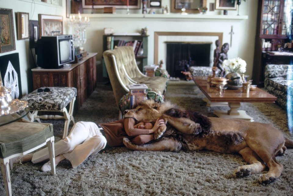 tippi hendre lion photography 9