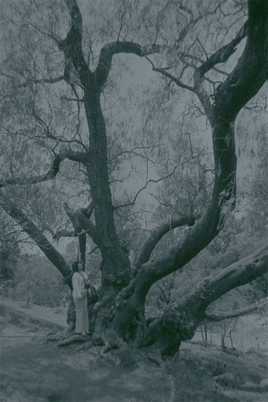 Enrique_Metinides-fotografia-oldskull-02