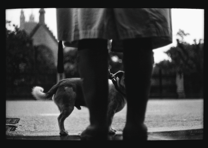 Eternal_London-fotografia-oldskull-15