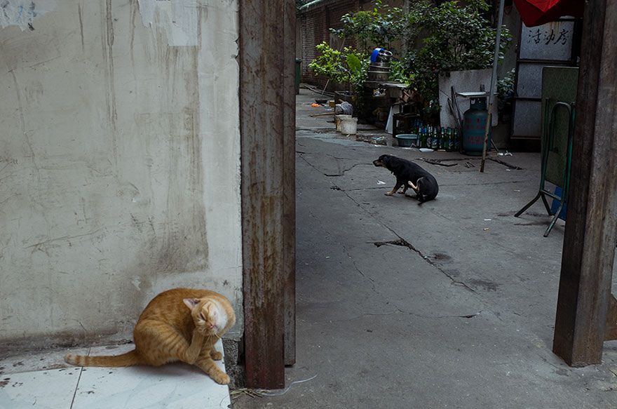 Tao_Liu-fotografia-oldskull-12
