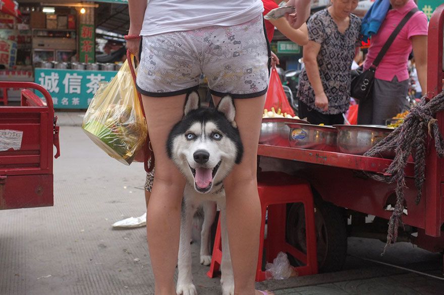 Tao_Liu-fotografia-oldskull-14