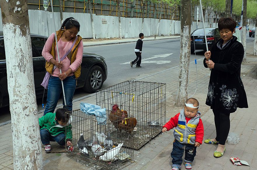 Tao_Liu-fotografia-oldskull-23