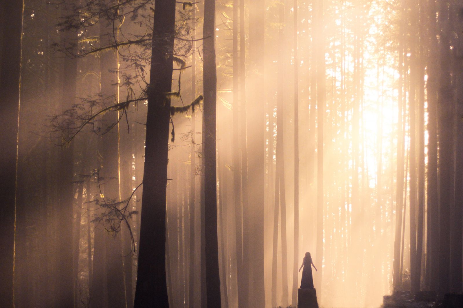 elizabethgadd-foto-oldskull-15