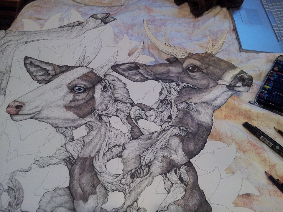 cosmologia nimal ilustracion 10