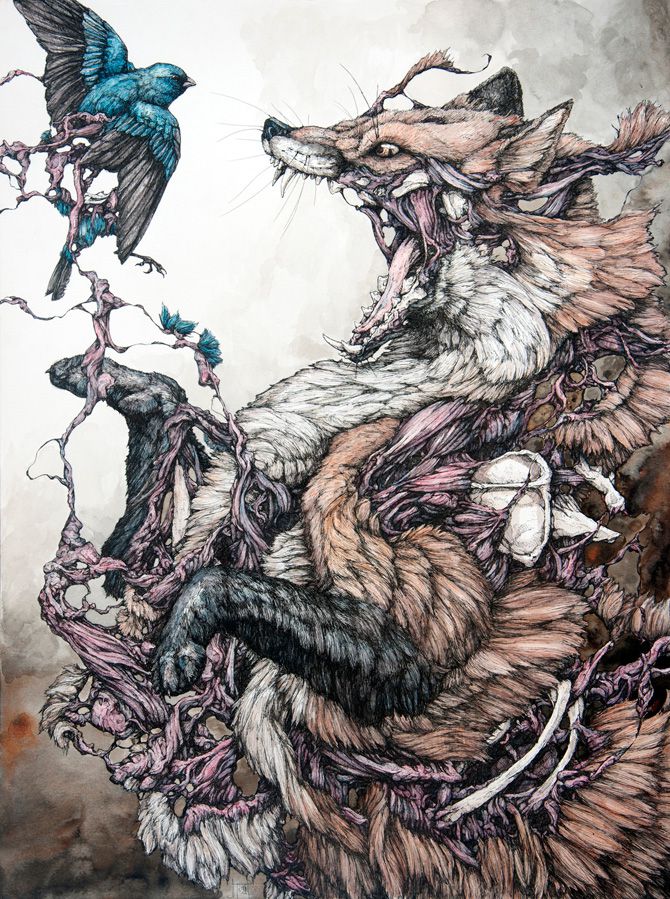 cosmologia nimal ilustracion 2