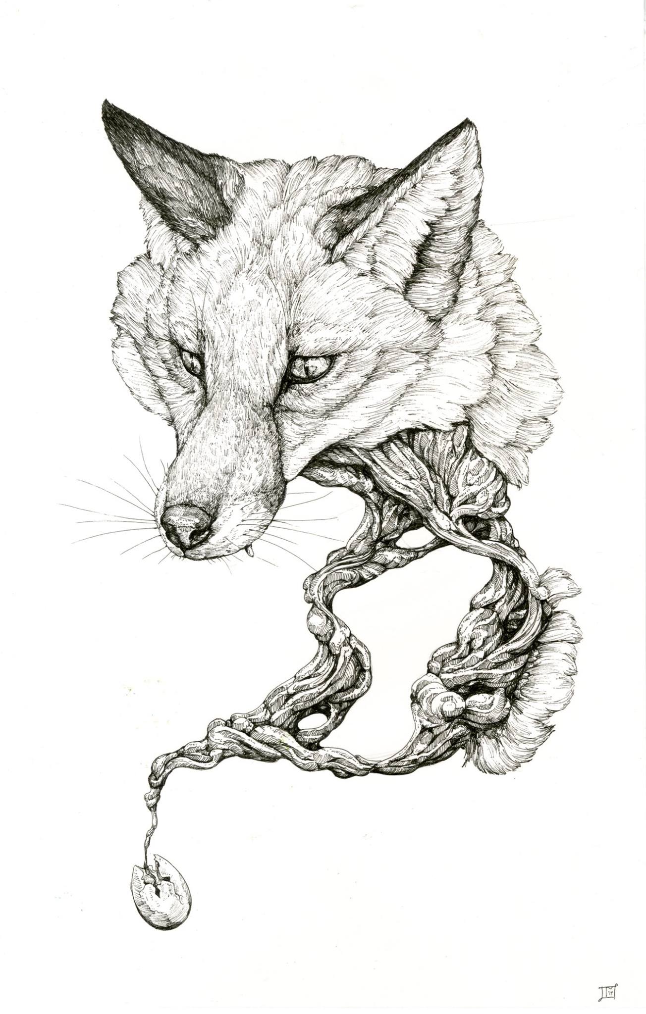 cosmologia nimal ilustracion 3