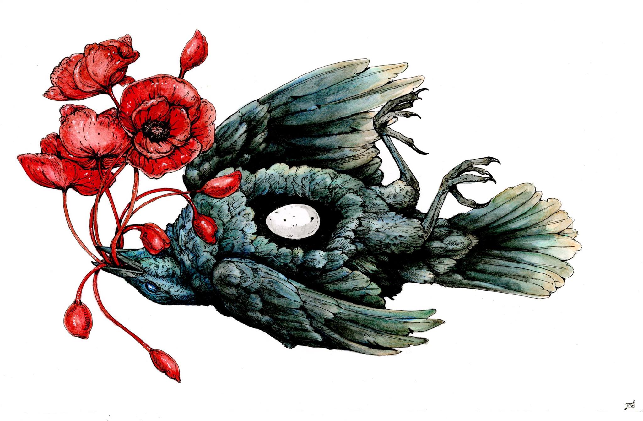 cosmologia nimal ilustracion 6