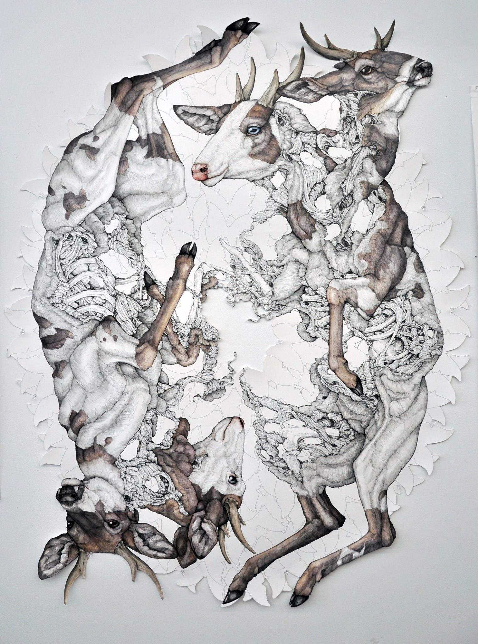 cosmologia nimal ilustracion 8