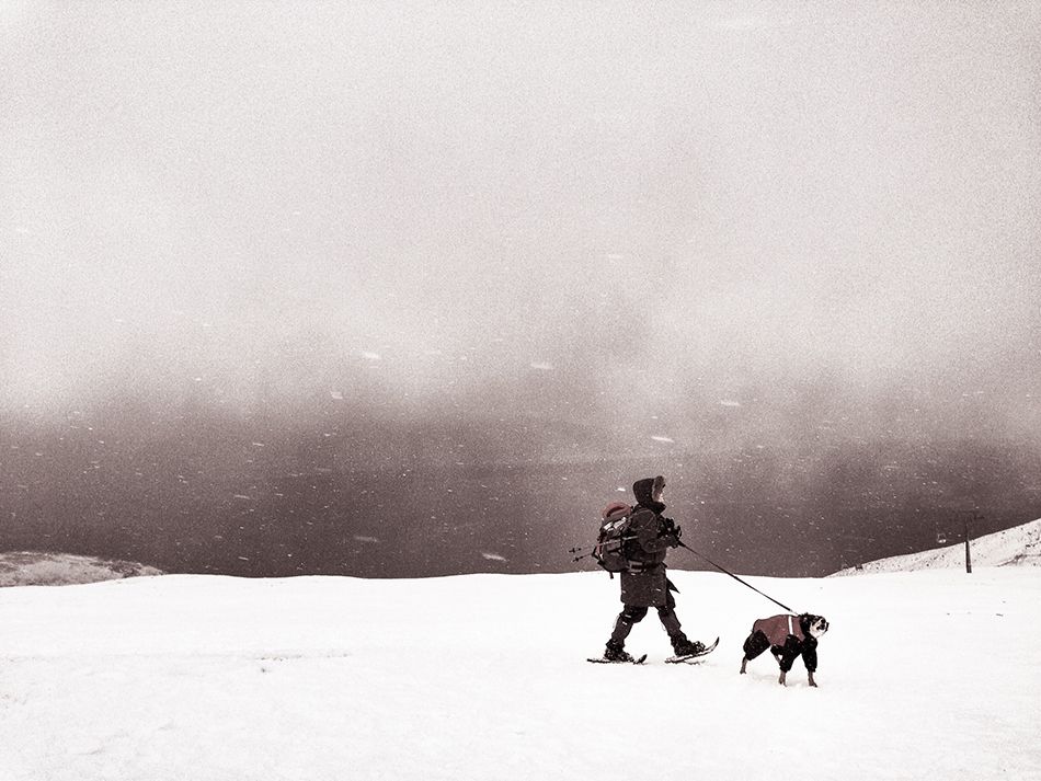 fotografias con un iphone-en-2014-5
