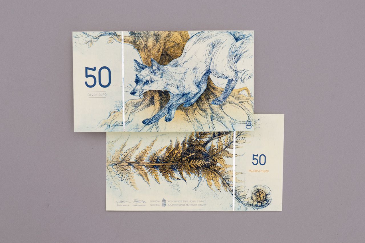 hungary-euro concept 2-2