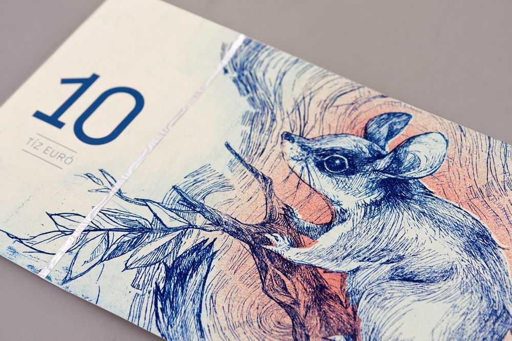 hungary-euro concept 4