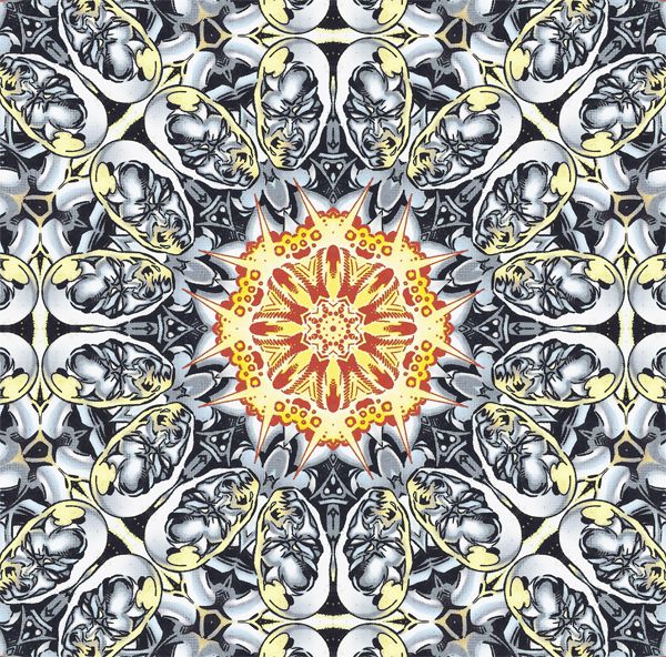kaleidocomix 5