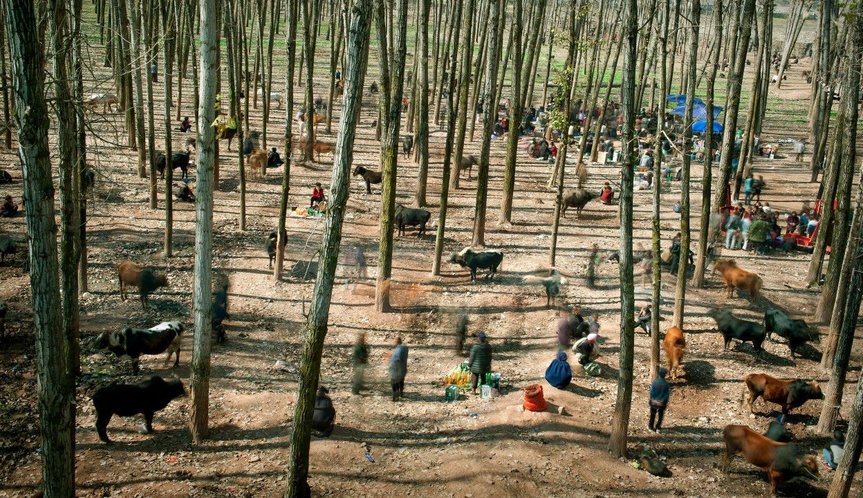 world press photo 2015 day life 1