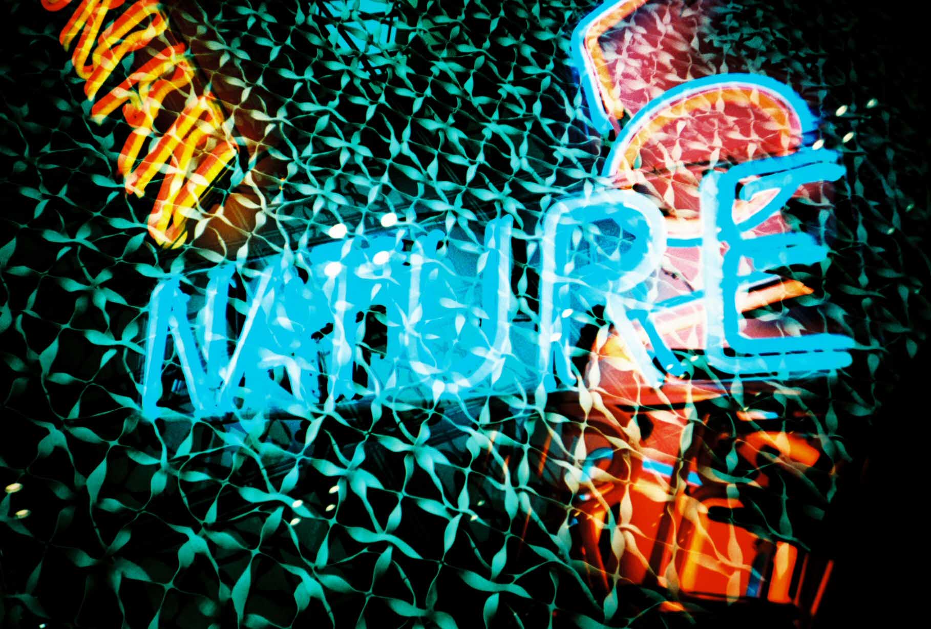 FilmSwap-fotografia-oldskull-06