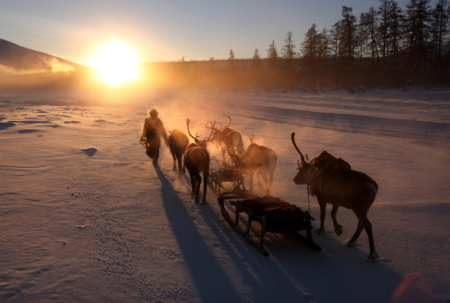 amos Chapple photography 10