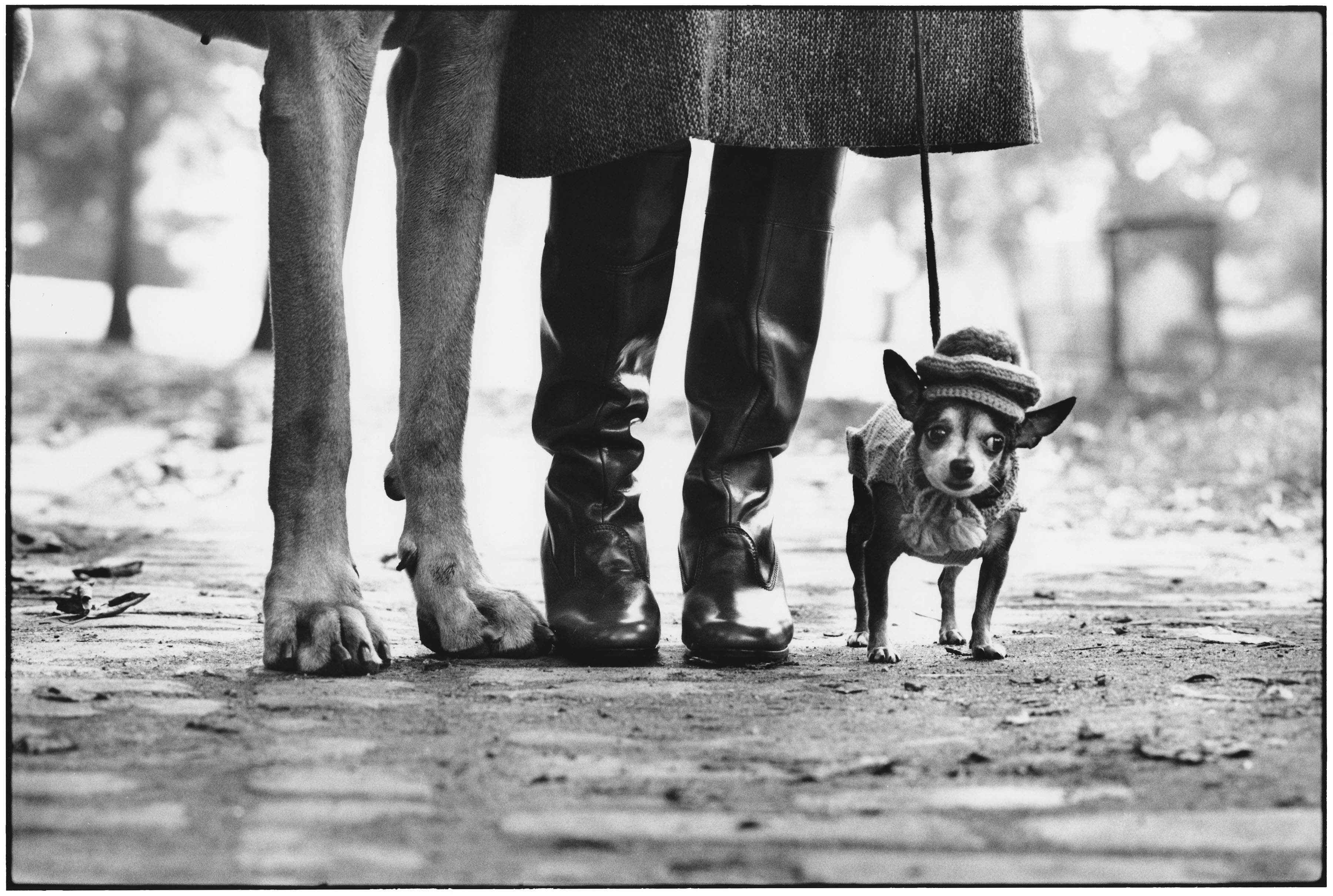 elliot_erwitt-fotografia-oldskull-04