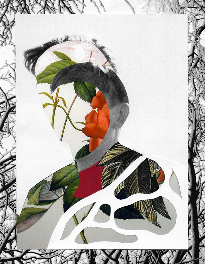nature collages rocio montoya 1
