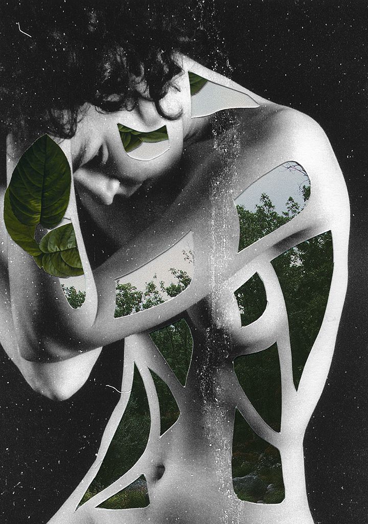 nature collages rocio montoya 3