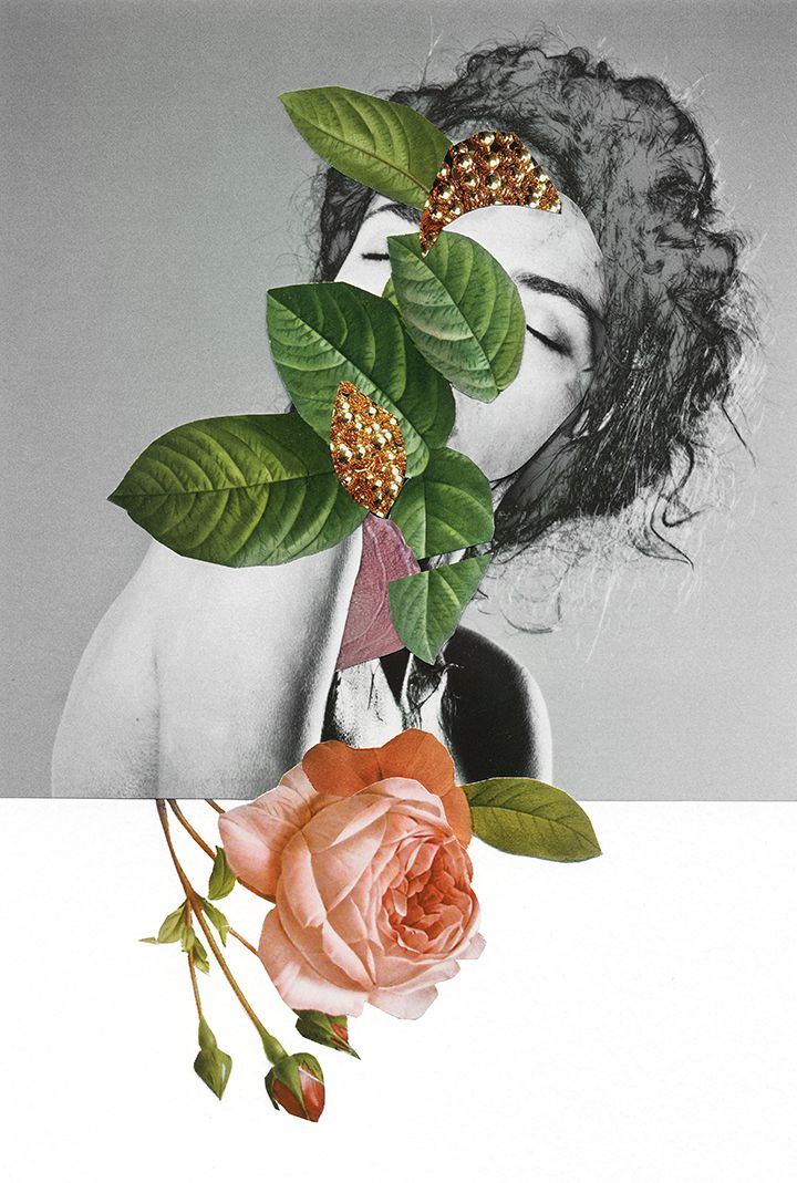 nature collages rocio montoya 5