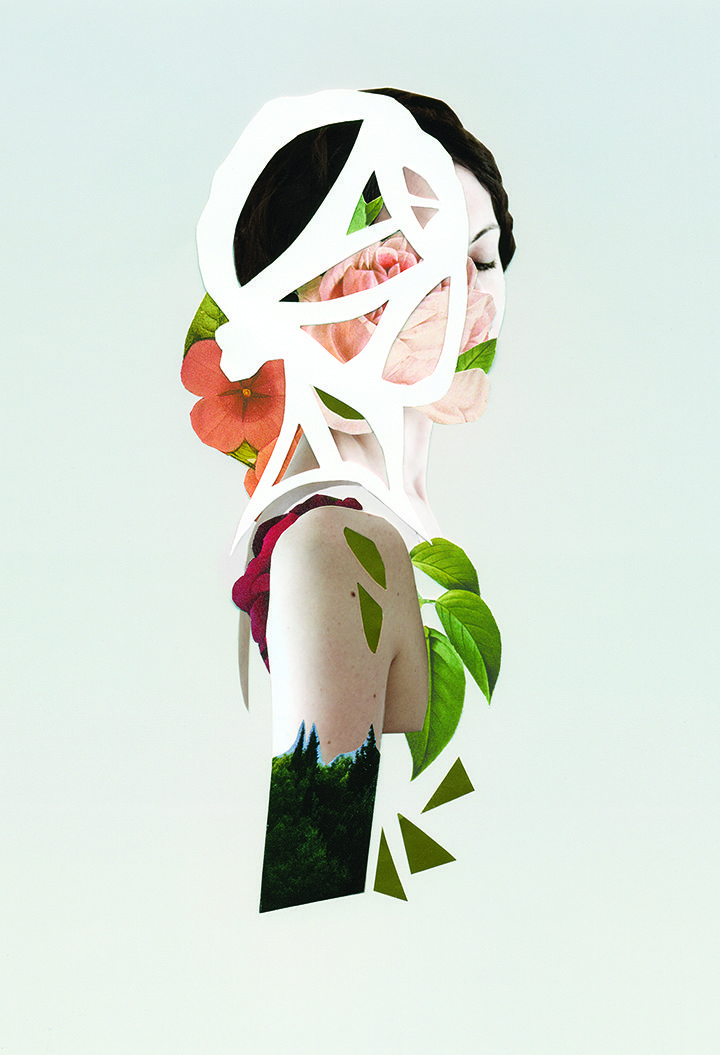nature collages rocio montoya 6