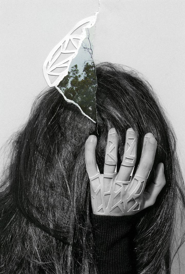 nature collages rocio montoya 9