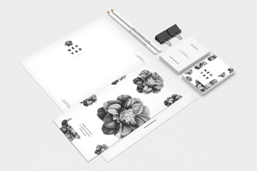 graphic design Marina Alio 2