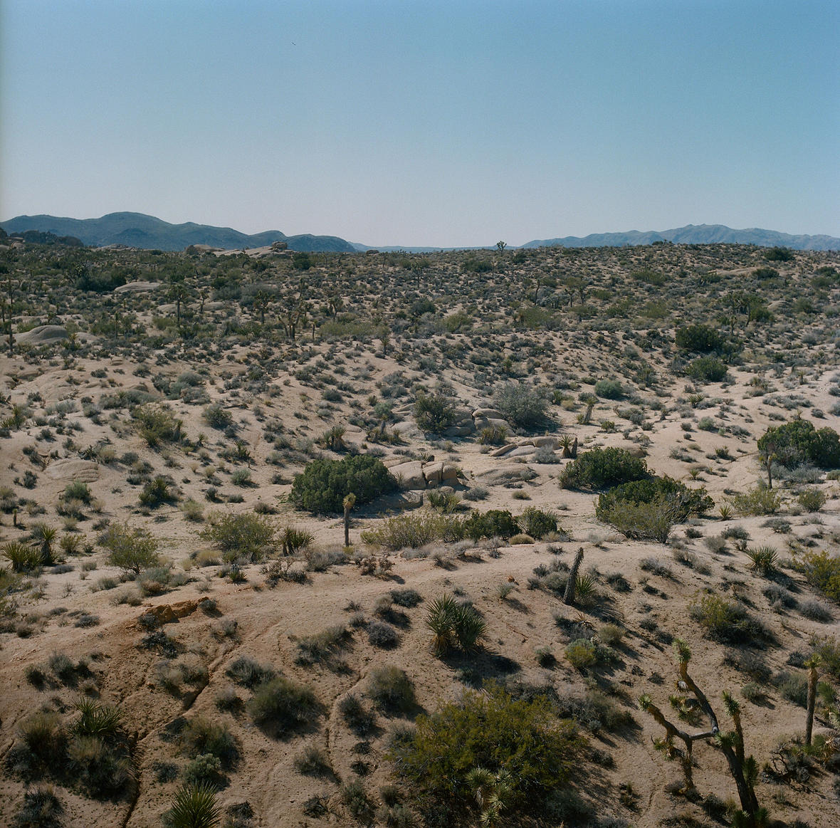 jamesparry-foto-oldskull-10