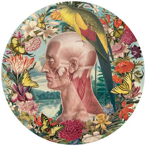 Juan-Gatti9