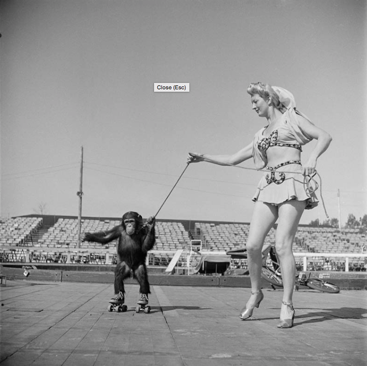 NYStanleyKubrick-fotografia-oldskull-19
