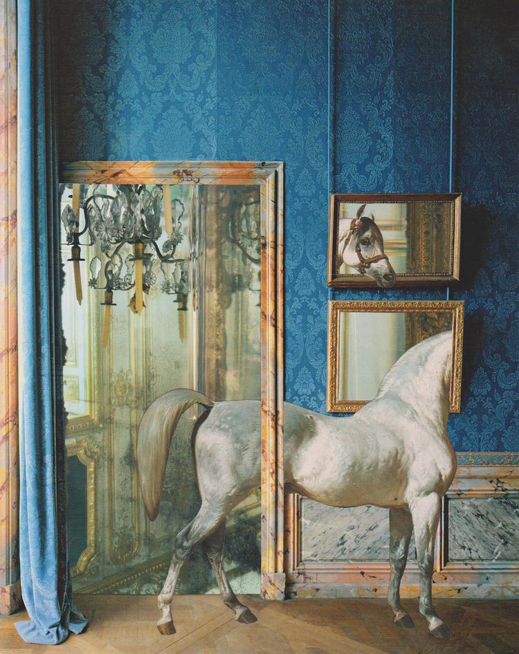 irina-silviu-collage 07