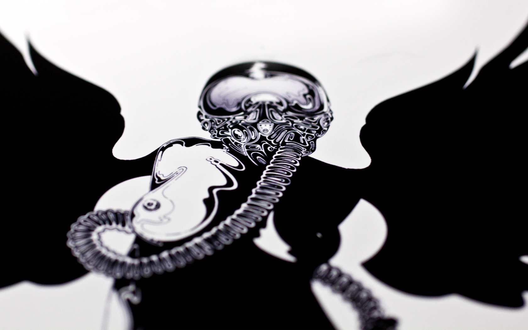 siscottstudio-diseno-oldskull-14