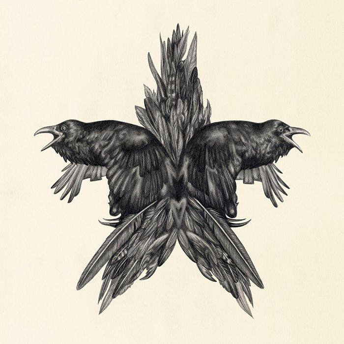 Lauren mortimer illustration 6