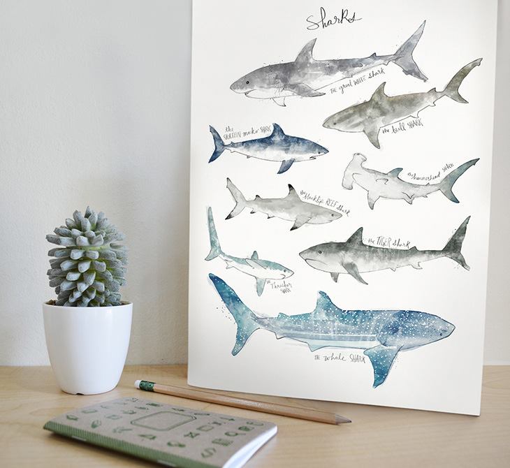 amy hamilton animals illustration 10