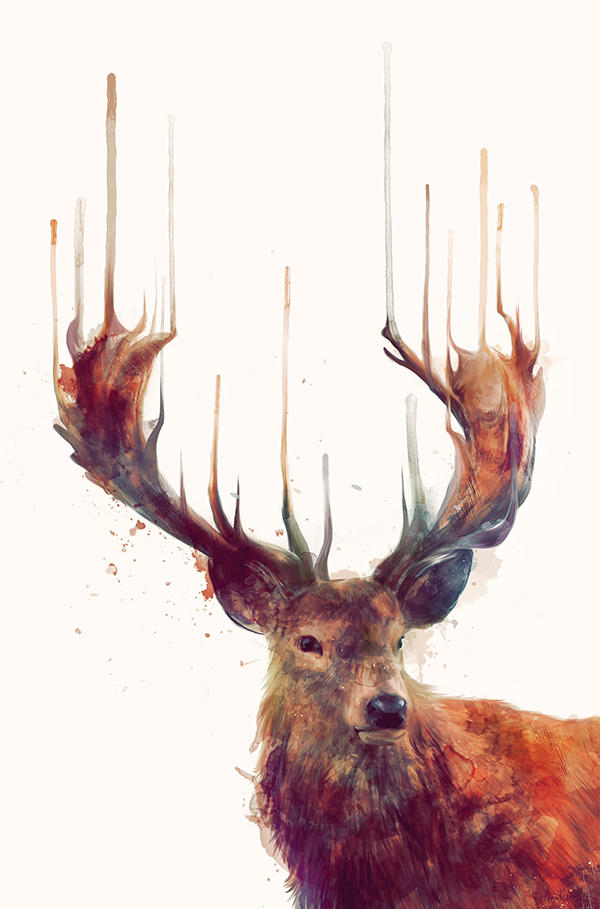 amy hamilton animals illustration 3-1
