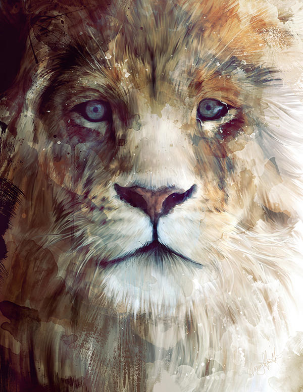 amy hamilton animals illustration 3