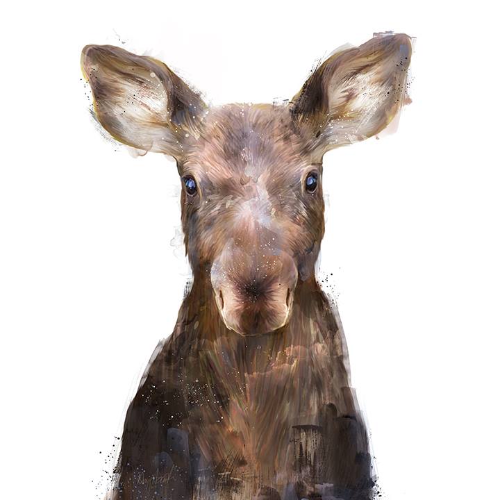 amy hamilton animals illustration 5