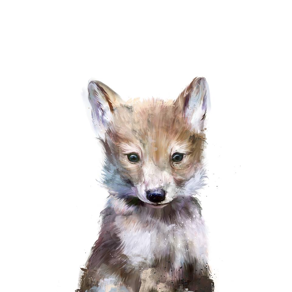 amy hamilton animals illustration 6