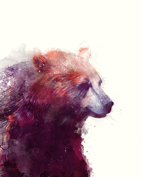 amy hamilton animals illustration 7