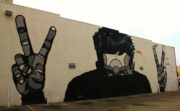 davidflores1