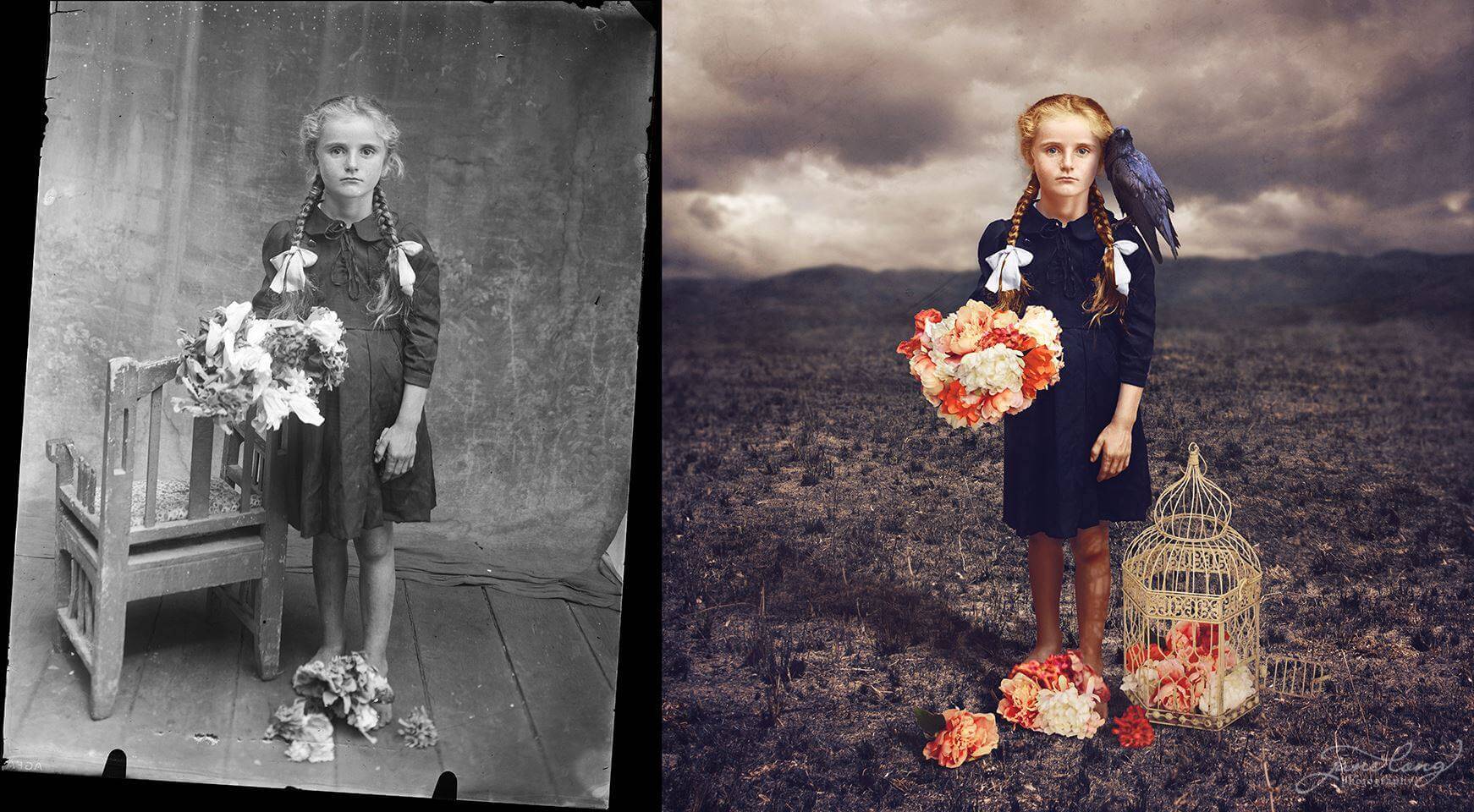 Jane Long Photography color oldskull 8