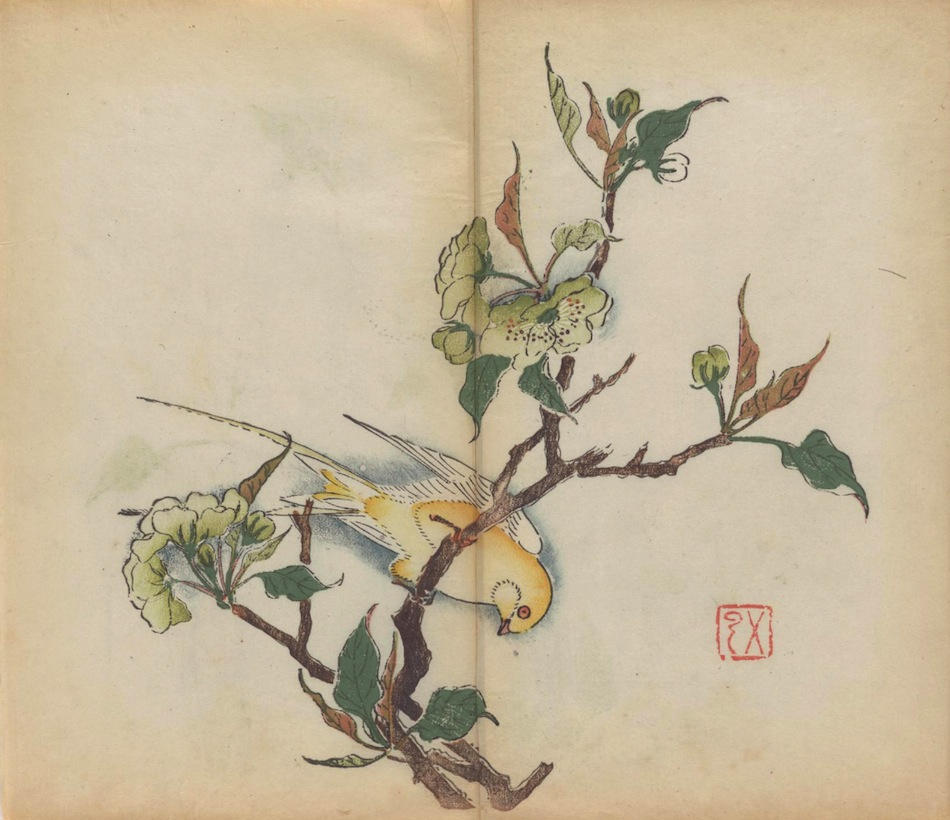 Shi zhu zhai shu hua pu digital 9