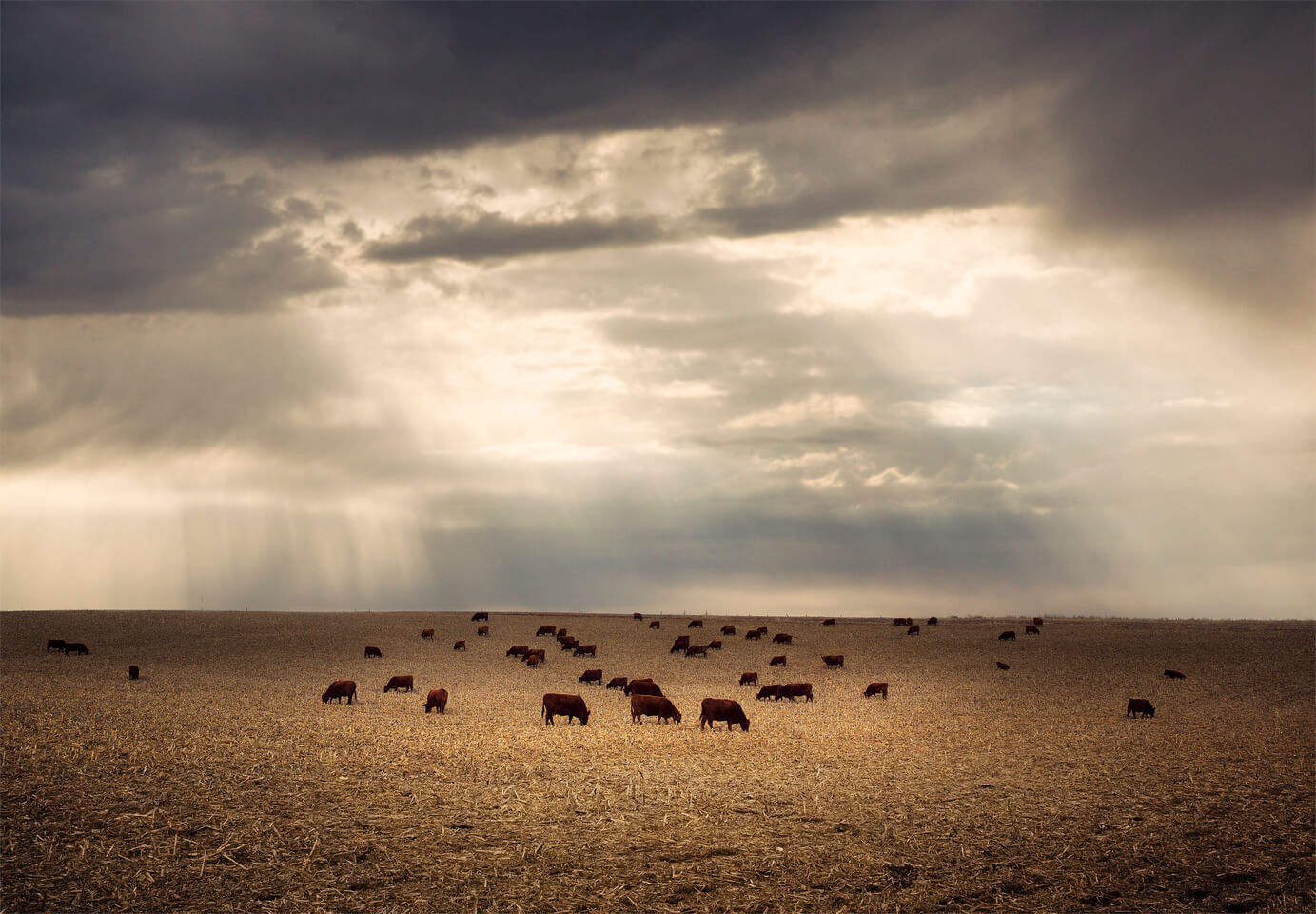jakeolson-oldskull-foto-14